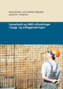Samarbeid og HMS-utfordringer i bygg- og anleggsnæringen