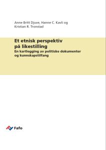 Et etnisk perspektiv på likestilling