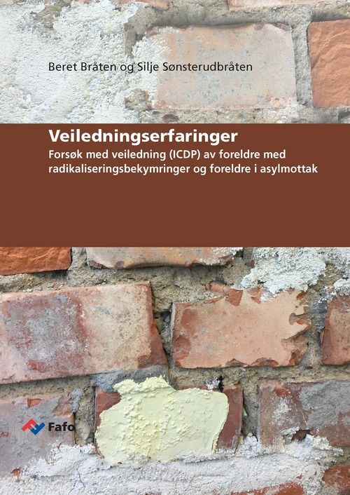 Veiledningserfaringer