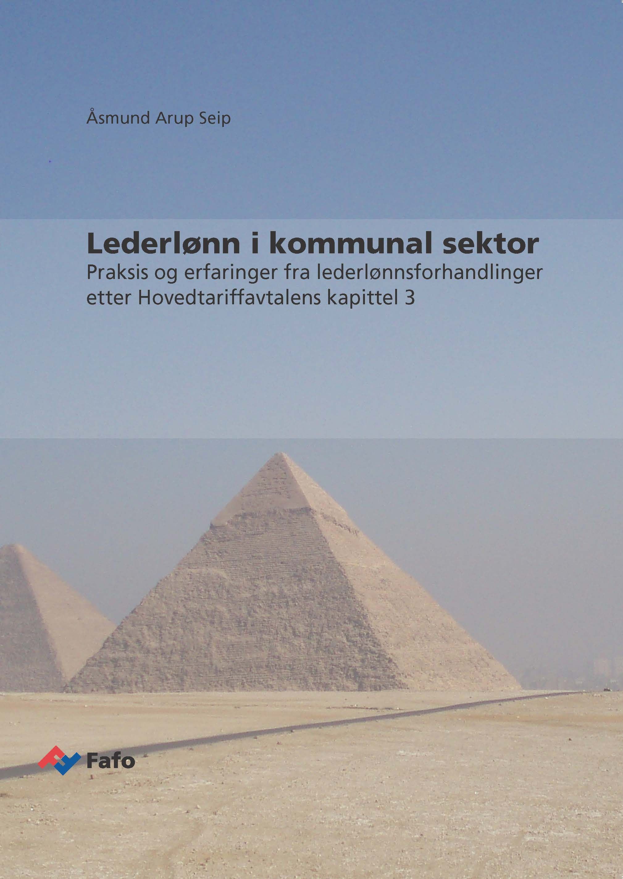 Lederlønn i kommunal sektor