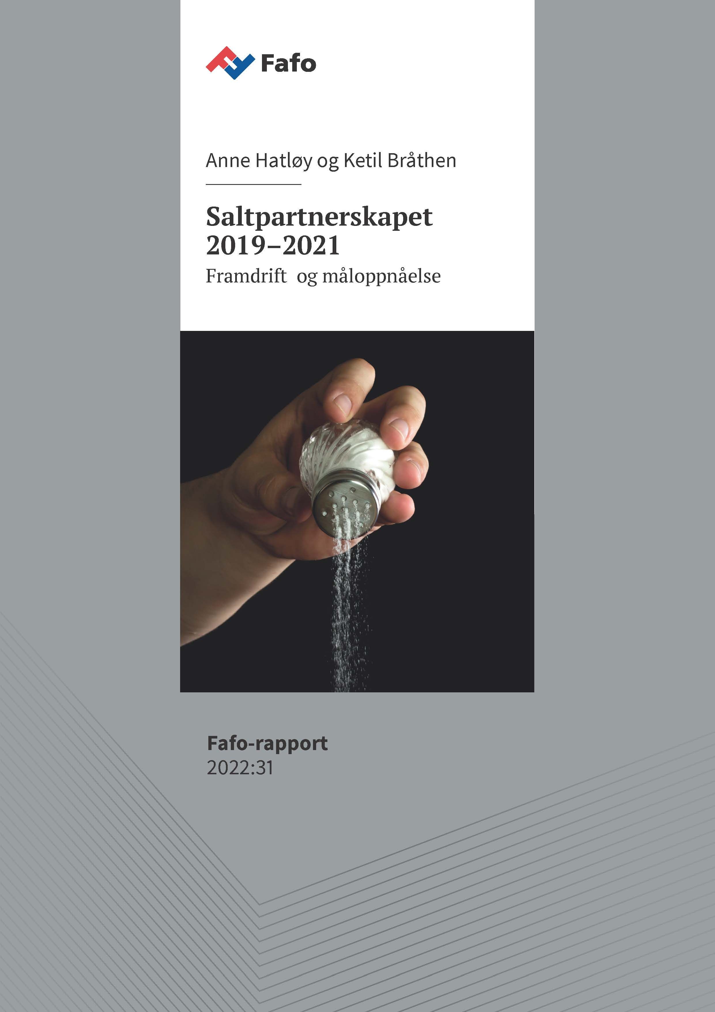Saltpartnerskapet 2019–2021