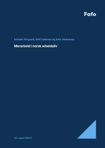 Merarbeid i norsk arbeidsliv