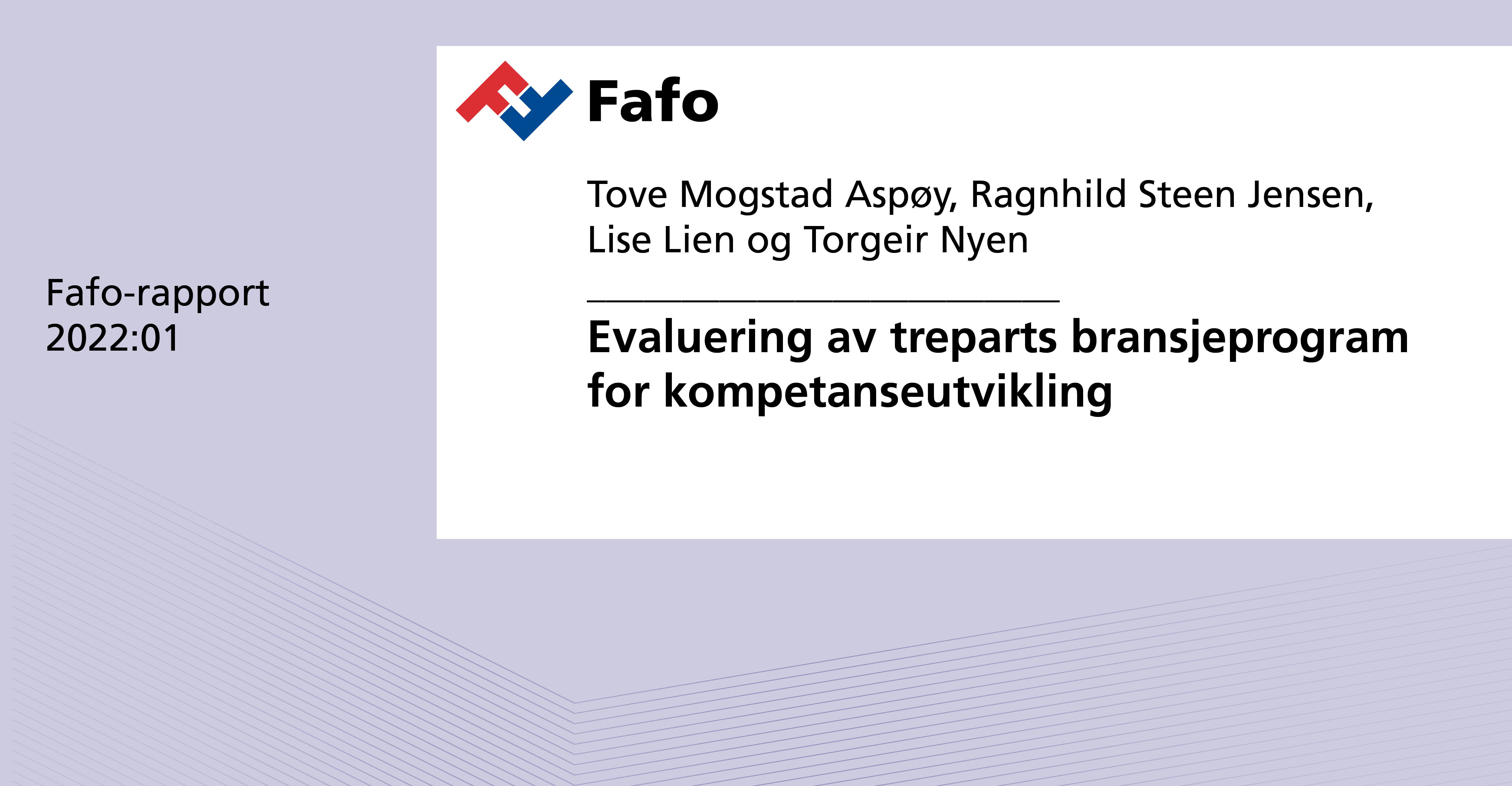 Evaluering Av Treparts Bransjeprogram For Kompetanseutvikling | Fafo ...